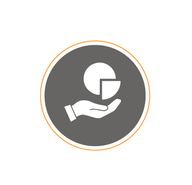 Shareholding Pattern